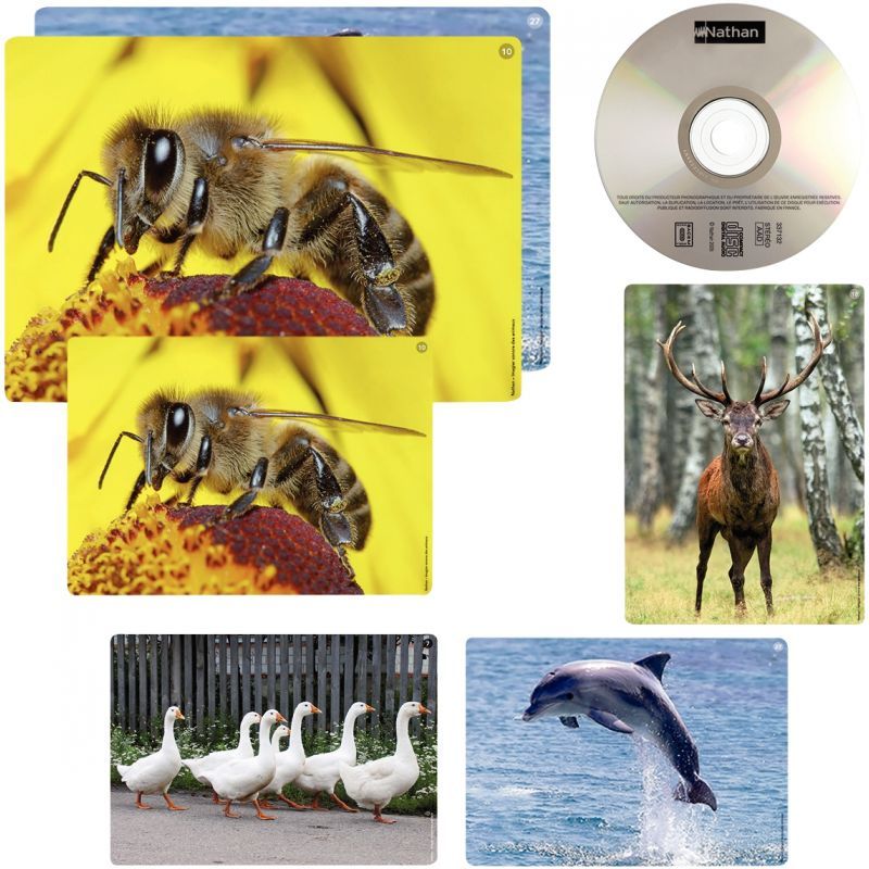 Article scolaire 911631 Article scolaire 911631