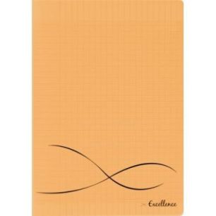 Achetez CONQUERANT C9 Cahier piqûre 17x22cm 48 pages 90g grands carreaux Séyès. Couverture polypr..