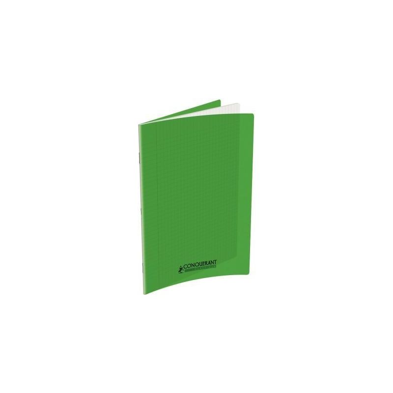 Achetez Piqûre 60 pages 24x32 cm seyès 90g couverture en polypropylène vert 400173538 HAMELIN pas..