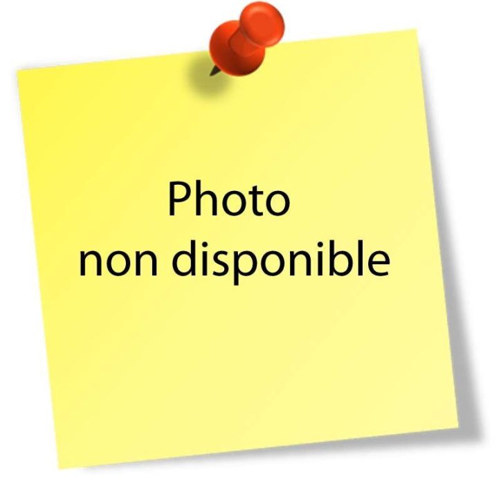 Carnet Devis Manifold NCR 210X297 mm 50 tripli (reference 13146) 13146E EXACOMPTA