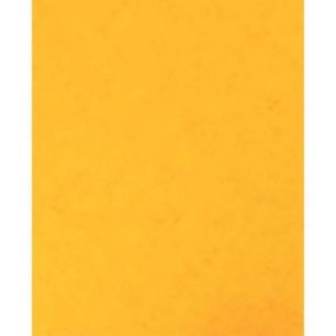 Achetez Lot de 10 protège-cahier 2 grands rabats format 18 x 22 cm carte lustrée coloris jaune P41..