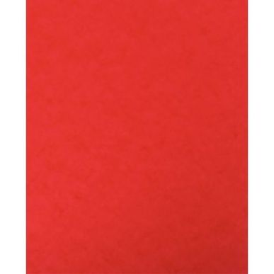 Achetez lot de 10 protège-cahier 2 grands rabats  format 18 x 22 cm carte lustrée coloris rouge P4..