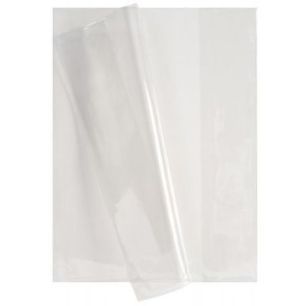 Achetez CALLIGRAPHE Protège-cahier Cristal 12/100° 24x32cm avec porte-étiquette. Transparent pas ..