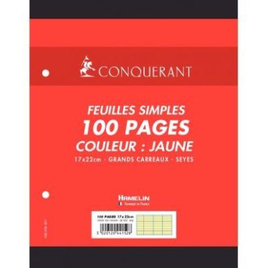 Achetez Sachet de 50 feuillets mobiles 17x22 cm seyès 80g, jaune 100104850 HAMELIN pas cher sur Ma ..