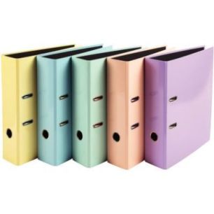 Achetez Carton de 10 classeurs à  levier AQUAREL dos 8 cm, coloris assortis 53560E x10 EXACOMPTA p..