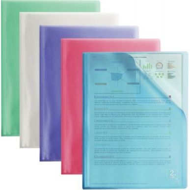 Achetez Protège-documents en polypropylène 2ND LIFE 40 pochettes / 80 vues pour format A4 coloris ..