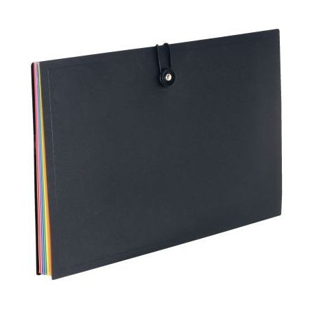 Achetez Trieur extensible Rainbow Class en polypropylène, 8 compartiments 110087-05 VIQUEL pas cher..