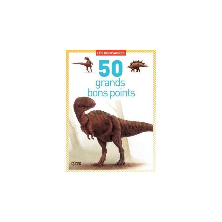 Boite de 50 grandes images Les dinosaures 01816 EDITIONS LITO