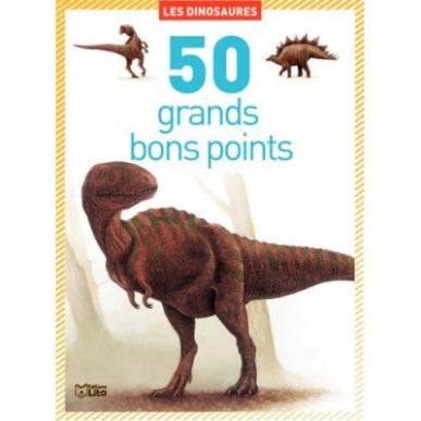 Achetez Boite de 50 grandes images Les dinosaures 01816 EDITIONS LITO pas cher sur Ma Rentrée Scola..