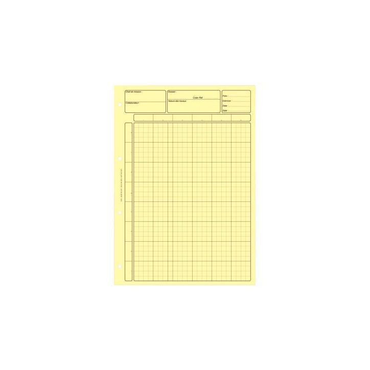 Bloc audit de 80 pages, matrice pour contrôle interne, coloris jaune 2671 LEBON & VERNAY