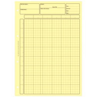 Achetez Bloc audit de 80 pages, matrice pour contrôle interne, coloris jaune 2671 LEBON & VERNAY pa..