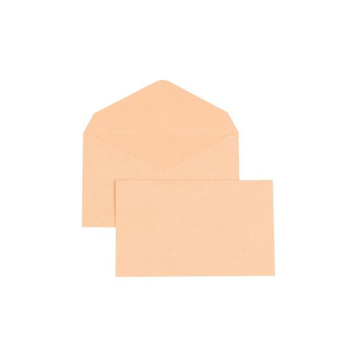 GPV Boîte de 500 enveloppe élection 75 grammes bulle format 90X140mm