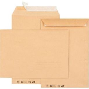 Achetez Paquet de 10 pochettes kraft 229x324mm 85g bande siliconée avec zone d'adresse 6633 GPV pas..