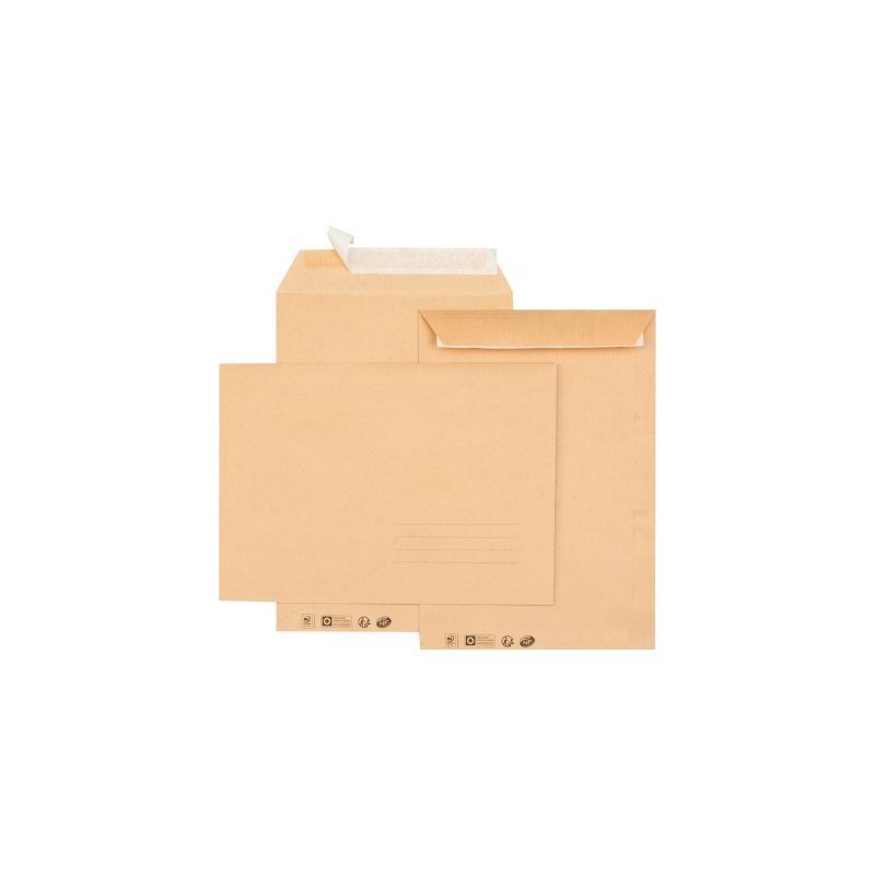 Achetez Paquet de 10 pochettes kraft 229x324mm 85g bande siliconée avec zone d'adresse 6633 GPV pas..