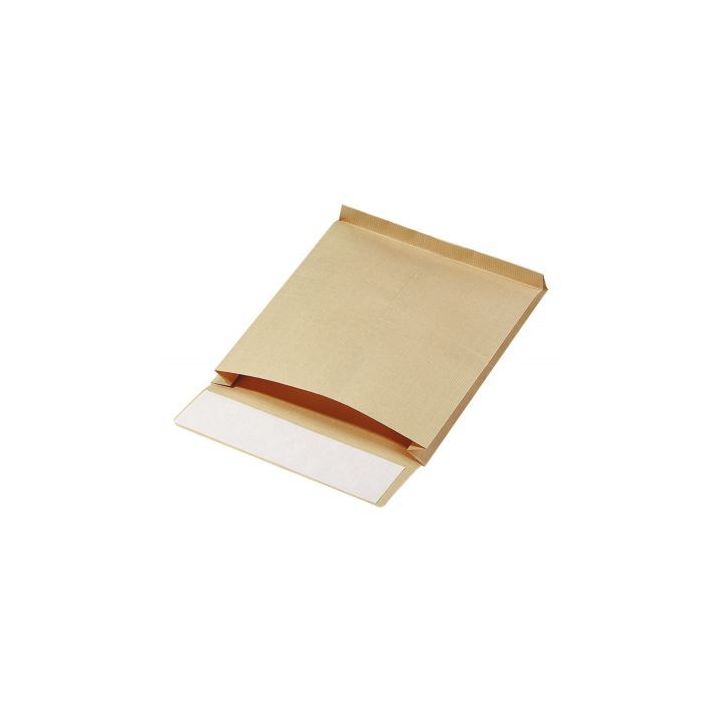 GPV Paquet de 50 kraft armé C4 à  soufflet 50