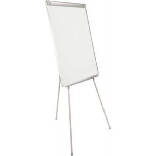 Achetez Chevalet de conférence magnétique Earth EA2306995 BI-OFFICE pas cher sur Ma Rentrée Scola..