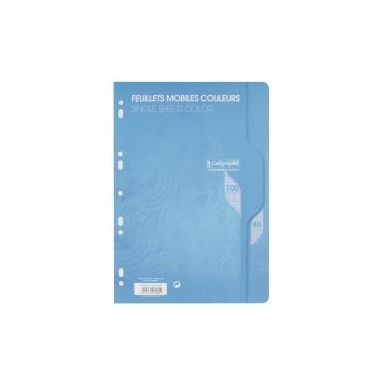 Achetez Sachet de 50 feuillets mobiles (100 pages) format 21x29,7cm séyès 80g coloris bleu 7962C p..