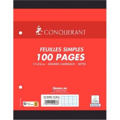 Achetez Sachet de 50 feuillets mobiles format 17x22 cm, seyès, papier 90g blanc 100101970 HAMELIN p..