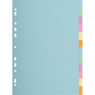 Achetez Jeu d'intercalaires 12 positions en carte recyclée 170g Format A4 pas cher sur Ma Rentré..