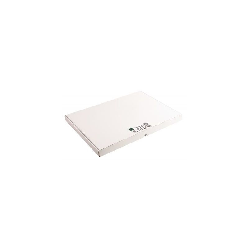 Achetez Boîte de 100 fiches bristol non perforées carte forte 205 g uni blanc 29,7 x 42 cm 13304E ..