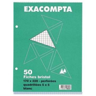 Achetez Paquet de 50 fiches bristol perforées carte forte 210 g blanc quadrillé 5x5 format 17 x 22..