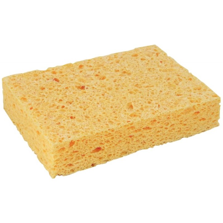 Eponge végétale non bordée N510934