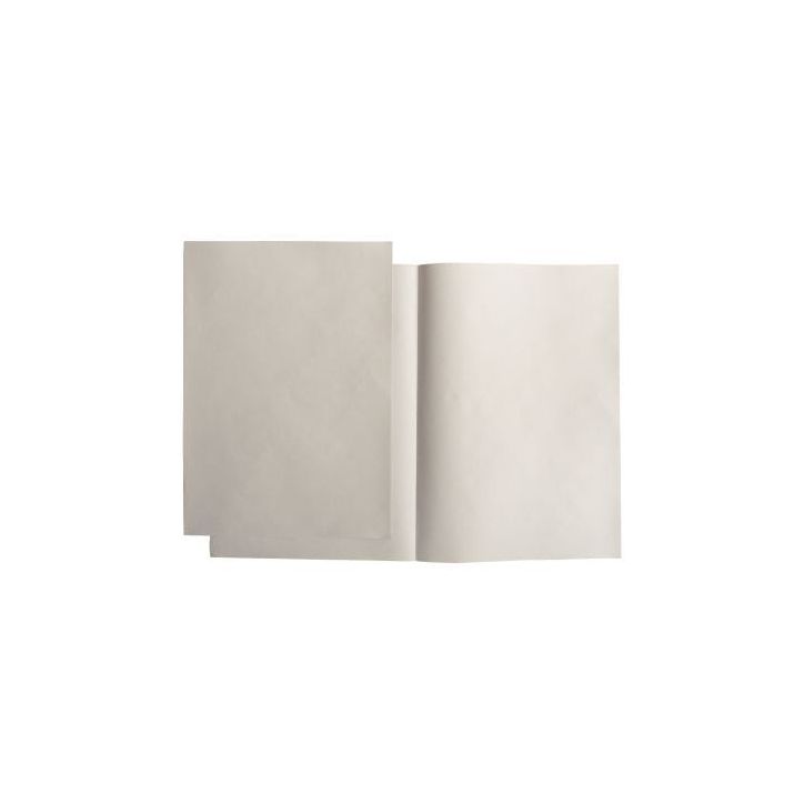 Paquet de 250 sous-chemises 60g format 22x31 cm gris 850009E SUPER EXACOMPTA