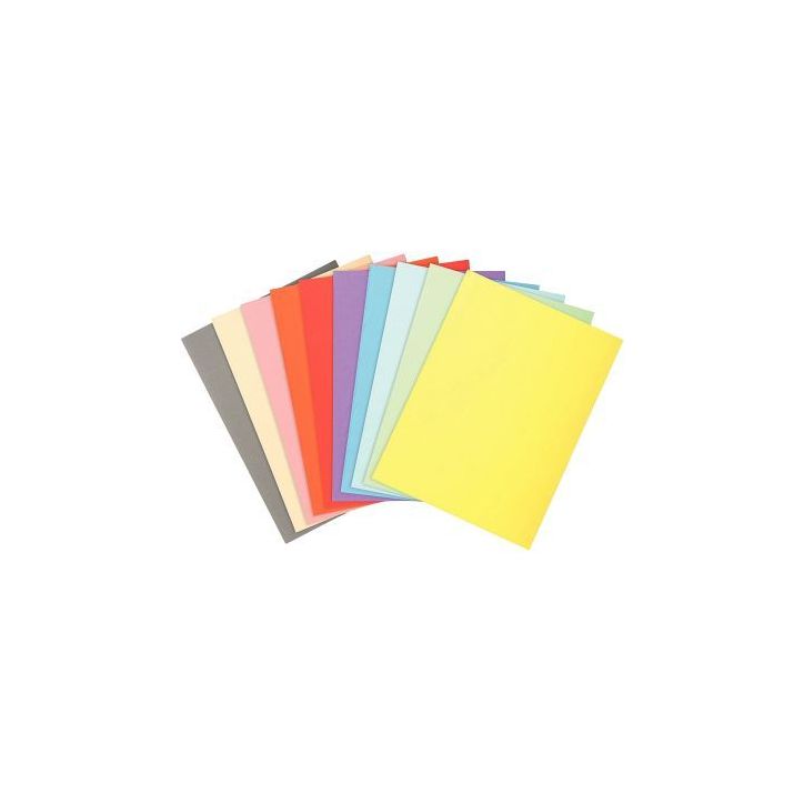 Paquet de 100 chemises 220g FOREVER, format 24x32 cm, coloris assortis 410000E FOREVER EXACOMPTA