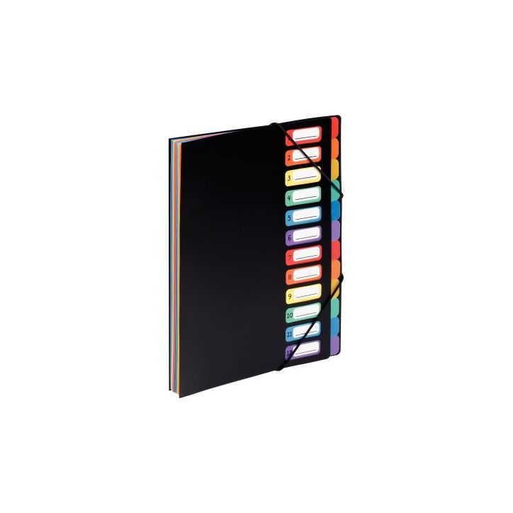 VIQUEL Trieur vertical RAINBOW 12 compartiments à  soufflet en polypro 5/10, Noir intérieur multicolore