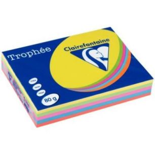 Achetez CLAIREFONTAINE Ramette 5x100F papier Trophée 80g A3 assortis intense soleil,menthe,cardinal..