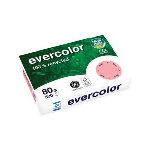 Achetez Carton de 5 ramettes de 500 feuilles format A4 80g rose recyclé 40003CX5 EVERCOLOR CLAIREFO..