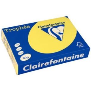 Achetez CLAIREFONTAINE Ramette de 500 feuilles papier couleur TROPHEE 80 grammes format A4 Jaune sol..