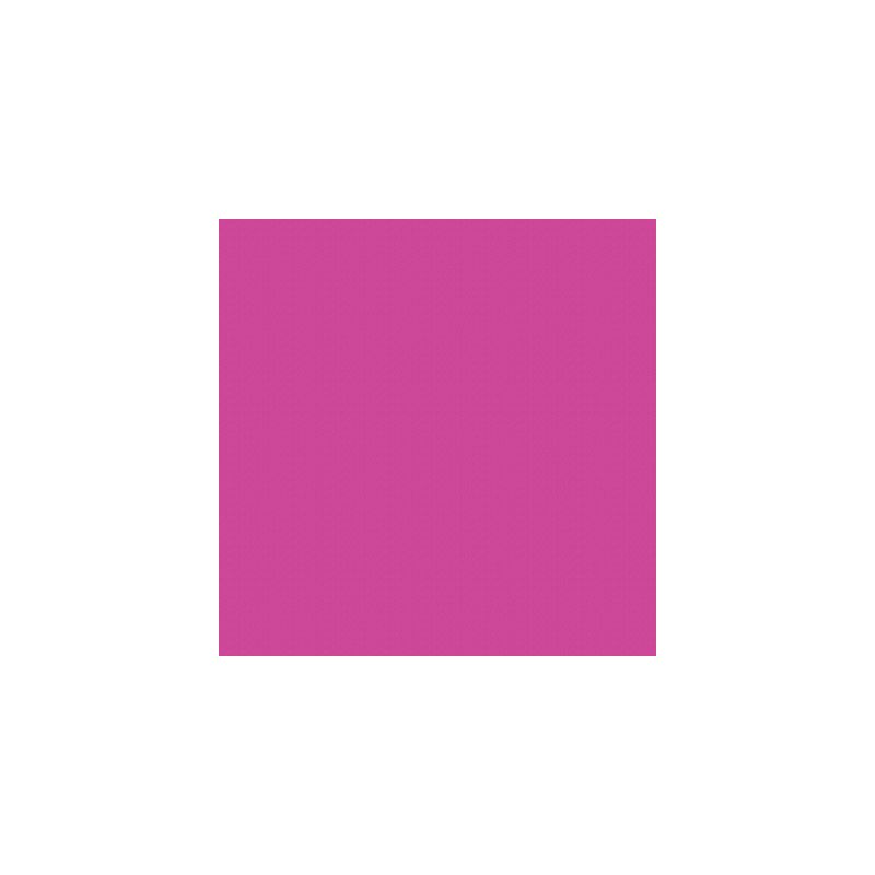 Achetez Paquet de 25 feuilles Cartoline 50x65 cm 120 g fuchsia 455387C CLAIREFONTAINE pas cher sur M..