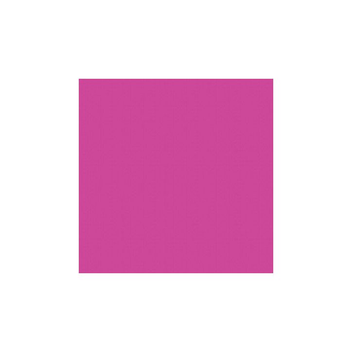 Paquet de 25 feuilles Cartoline 50x65 cm 120 g fuchsia 455387C CLAIREFONTAINE