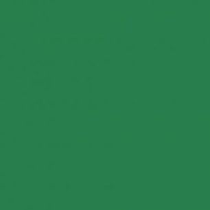 Achetez Paquet de 25 feuilles Cartoline 50x65 cm 120 g  vert foncé 455374C CLAIREFONTAINE pas cher ..