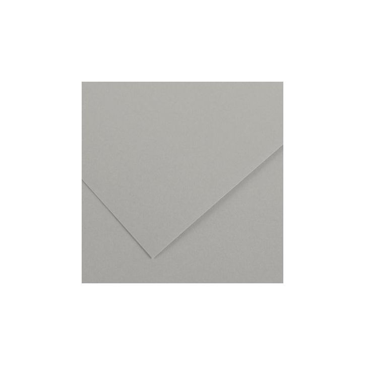 Paquet de 10 feuilles Colorline 50x65 cm 150 g gris clair C200041411 CANSON