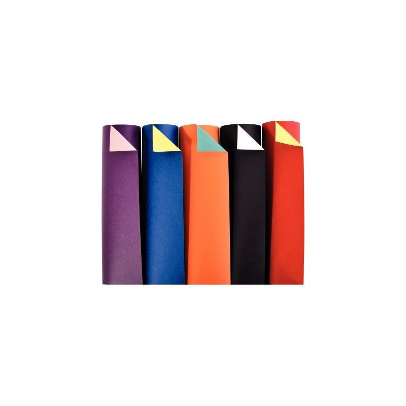 Achetez Paquet de 100 feuilles cartoline bicolore 21x29.7cm 150 g couleurs assorties 457299C CLAIREF.. Achetez Paquet de 100 feuilles cartoline bicolore 21x29.7cm 150 g couleurs assorties 457299C CLAIREF..