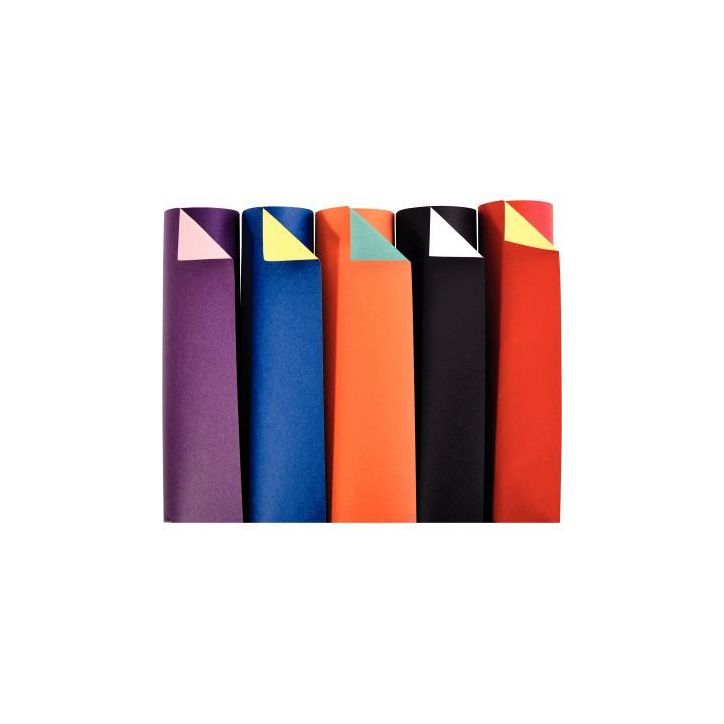 Paquet de 100 feuilles cartoline bicolore 21x29.7cm 150 g couleurs assorties 457299C CLAIREFONTAINE