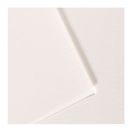 Achetez Paquet de 10 feuilles mi-teinte format 50x65 coloris blanc C31027S086 CANSON pas cher sur Ma..