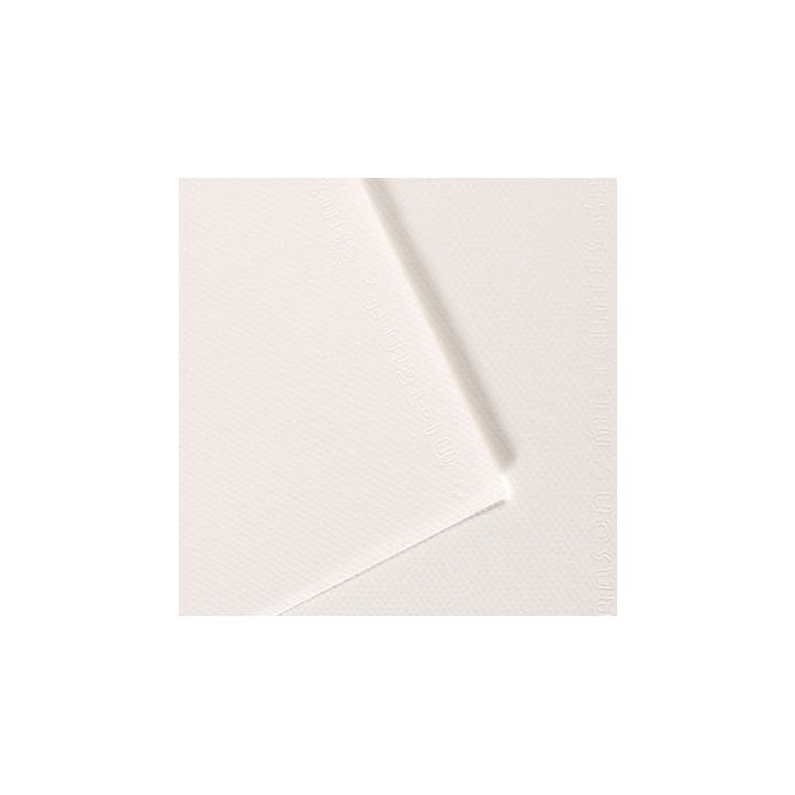 Paquet de 10 feuilles mi-teinte format 50x65 coloris blanc C31027S086 CANSON