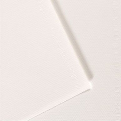 Achetez Paquet de 10 feuilles mi-teinte format 50x65 coloris blanc C31027S086 CANSON pas cher sur Ma..