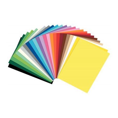 Achetez Paquet de 25 feuilles en carton coloris assortis, format 50 x 70 cm, 300 grammes 61/2599 pas..