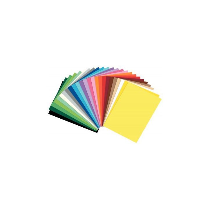 Paquet de 25 feuilles en carton coloris assortis, format 50 x 70 cm, 300 grammes 61/2599