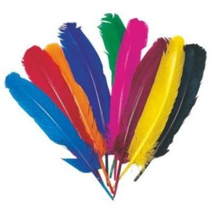 Achetez Sachet de 12 plumes d'indien couleurs assorties SC00655 pas cher sur Ma Rentrée Scolaire