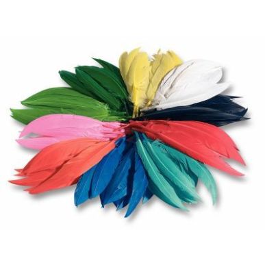 Achetez Sachet de 100 grammes de plumes d'indien couleurs assorties 55109 pas cher sur Ma Rentrée S..