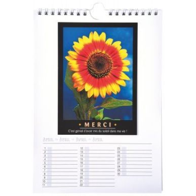 Achetez Calendrier à décorer format : 17x24 cm 2314 pas cher sur Ma Rentrée Scolaire