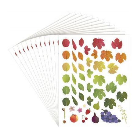 Achetez Pochette de 576 gommettes évolution des 4 saisons repositionnables L940017 pas cher sur Ma ..