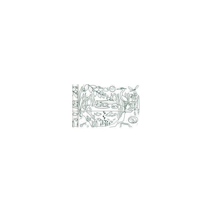 Rouleau fresque à  colorier thème de l'écosystème GY078 C