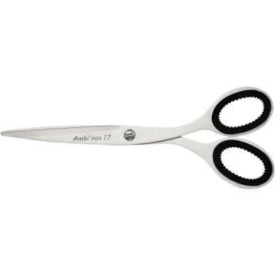 Article scolaire 431635