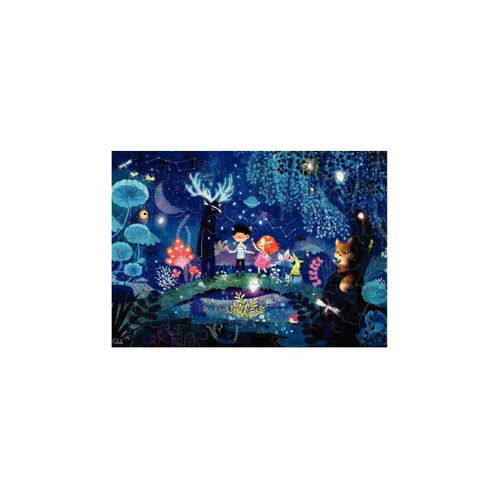Puzzle en bois denviron 50 pièces, escapade nocturne K828-50 PUZZLE MIC